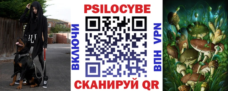 Псилоцибиновые грибы Psilocybe  Купить закладки  Новый Уренгой 